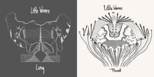 Load image into Gallery viewer, Little Women – Lung