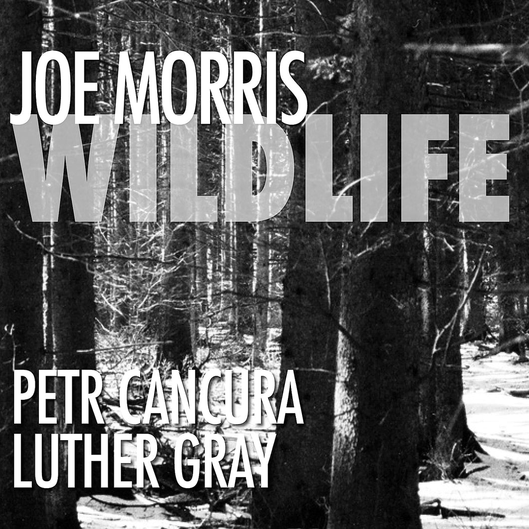 Joe Morris / Petr Cancura / Luther Gray – Wildlife