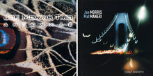 Load image into Gallery viewer, Joe Morris Trio – Antennae
