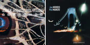 Joe Morris Trio – Antennae