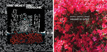 Load image into Gallery viewer, Whit Dickey Trio – Transonic
