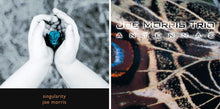 Load image into Gallery viewer, Joe Morris Trio – Antennae
