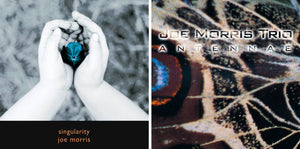 Joe Morris Trio – Antennae