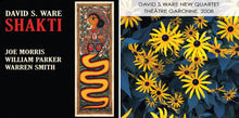 Load image into Gallery viewer, David S. Ware New Quartet – Shakti
