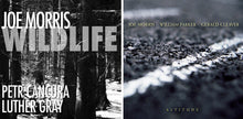 Load image into Gallery viewer, Joe Morris / William Parker / Gerald Cleaver – Altitude
