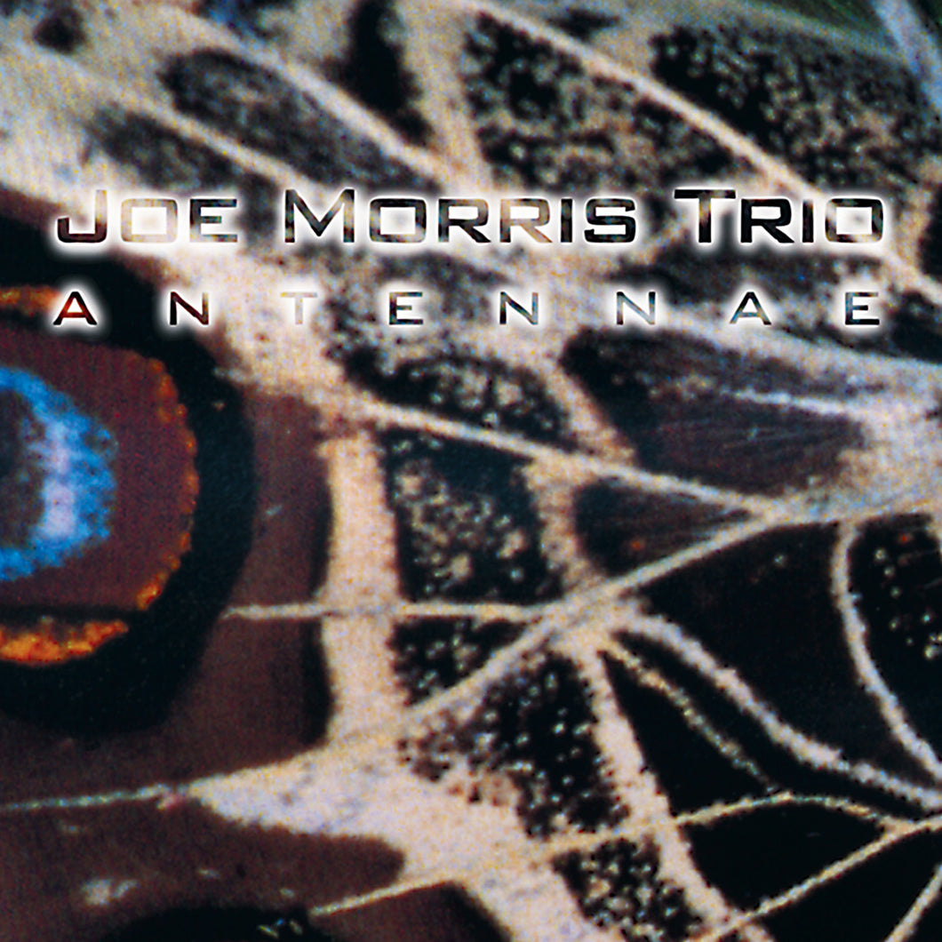 Joe Morris Trio – Antennae
