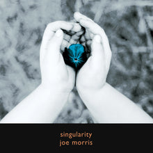 Load image into Gallery viewer, Joe Morris – Singularity
