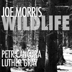 Joe Morris / Petr Cancura / Luther Gray – Wildlife