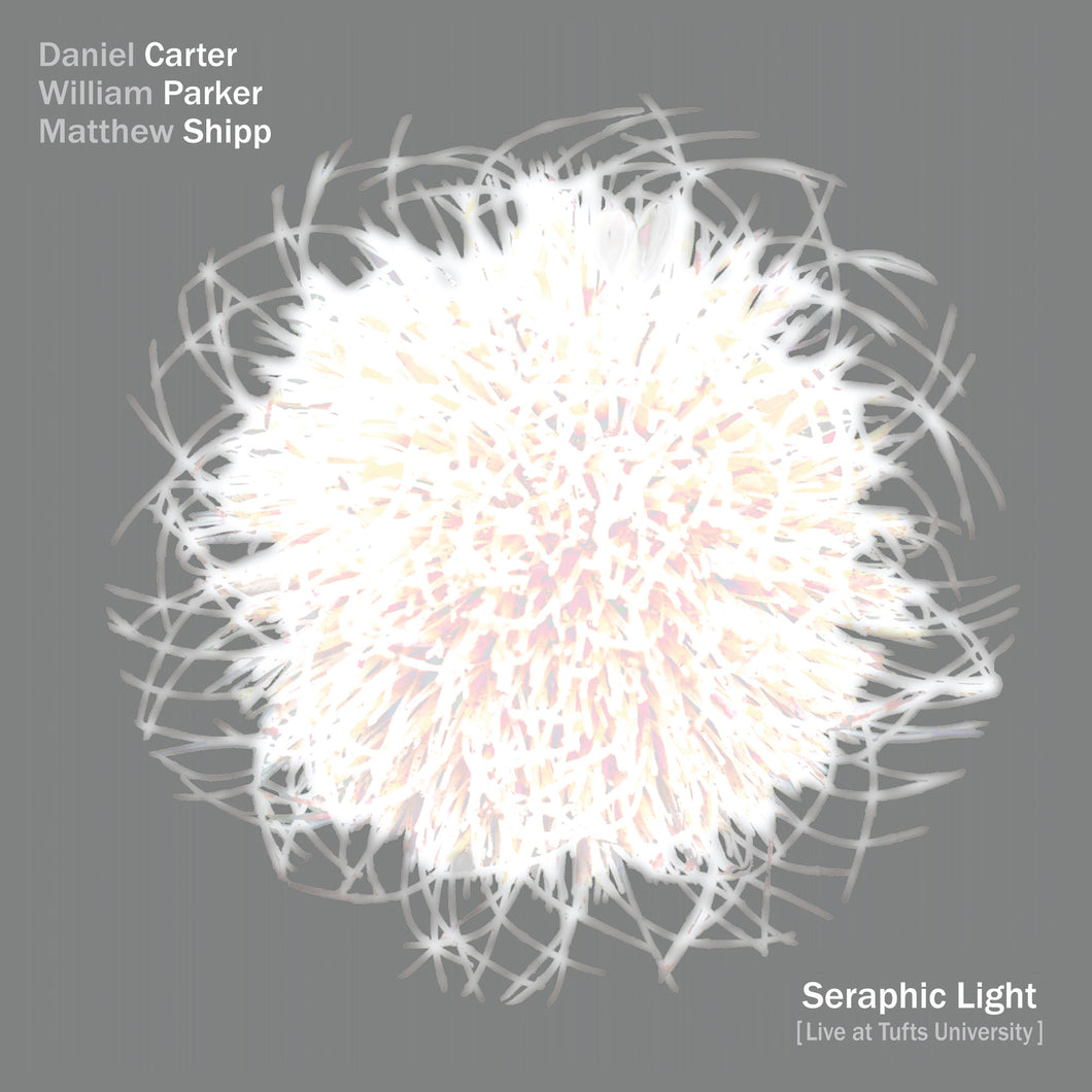 Daniel Carter / William Parker / Matthew Shipp – Seraphic Light